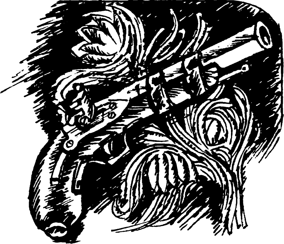 pistol.png pistol.png