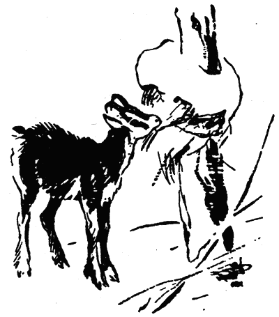povest_za_edna_gora_pic19.png povest_za_edna_gora_pic19.png