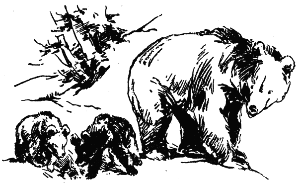 povest_za_edna_gora_pic29.png povest_za_edna_gora_pic29.png