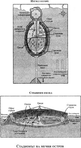 Стадиона Стадиона