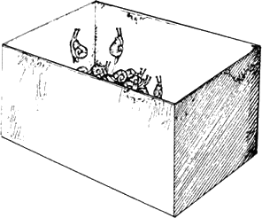 kutiyata_s_ohlyuvite.png kutiyata_s_ohlyuvite.png